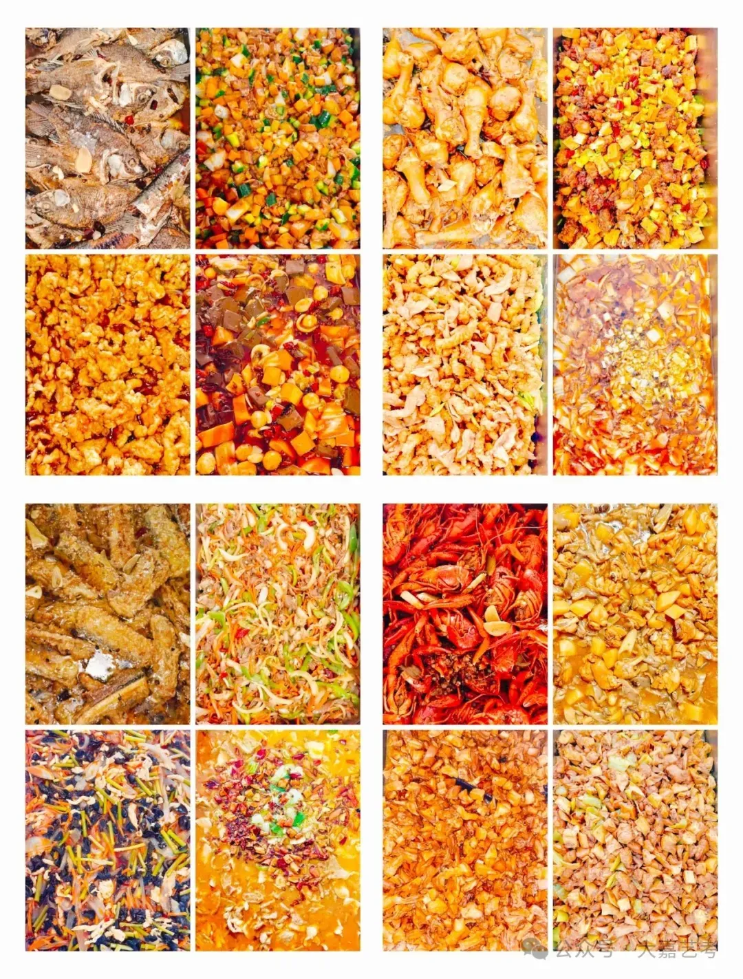 石家庄市2026年中考一模语文试题及参考答案 第19张