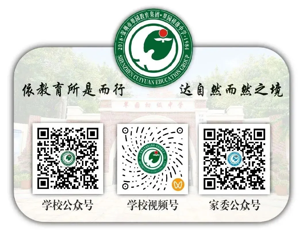 备战中考不辍帆影,罗湖少年乘风破浪!——翠初少年张澄省运会帆船赛勇获团体第三名 第11张