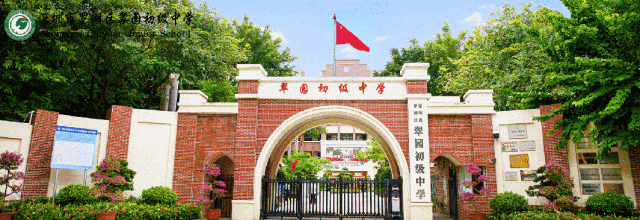 备战中考不辍帆影,罗湖少年乘风破浪!——翠初少年张澄省运会帆船赛勇获团体第三名 第12张