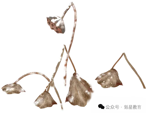 高考倒计时38天,高考真题是最好的训练题! 第2张