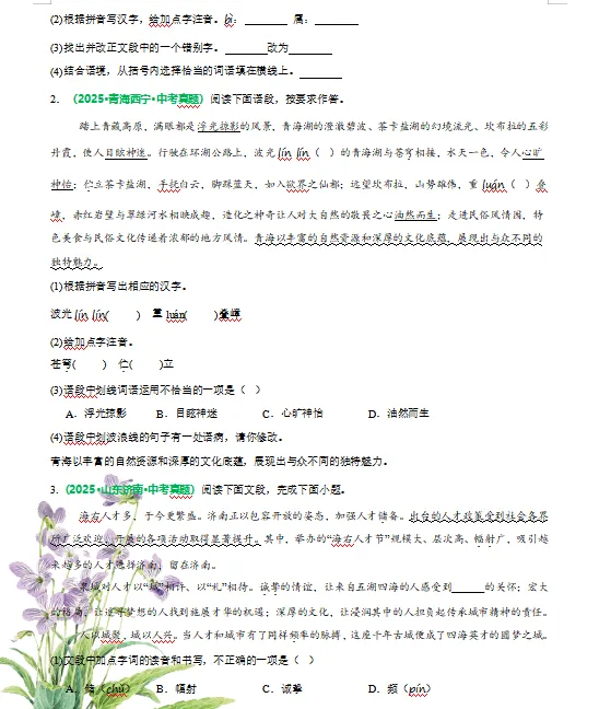 2026年中考语文二轮复习知识清单,含答题模板,解题方法、母题精讲等,还没掌握的,抓紧了,考试拿高分! 第9张