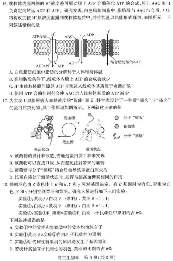 【模拟试题】武汉市2026届高三年级四月调研考试生物学试卷 第5张