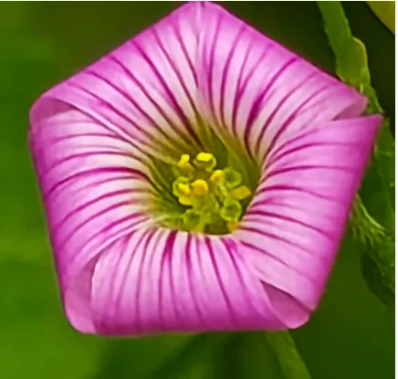 试卷与解题研究心得:展望2026福州初三二检数学 第1张