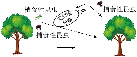 中考模拟‖广东省东莞市寮步镇香市中学2026年中考一模语文试卷 第1张