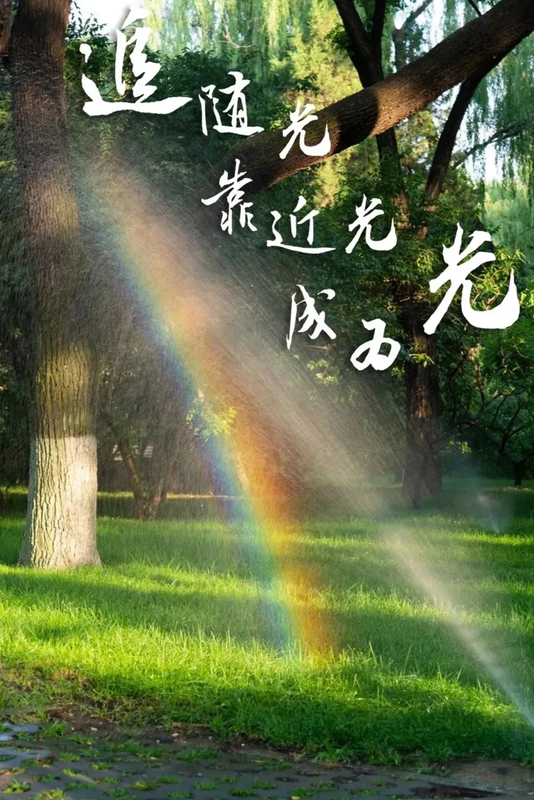 贵州中考时间2026年6月20日-6月22日|各科备考冲刺点睛最全攻略 第28张