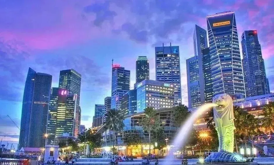 避开中考、高考焦虑,新加坡留学:另一种精彩人生的起点,＂黄金跳板＂的降维打击! 第6张