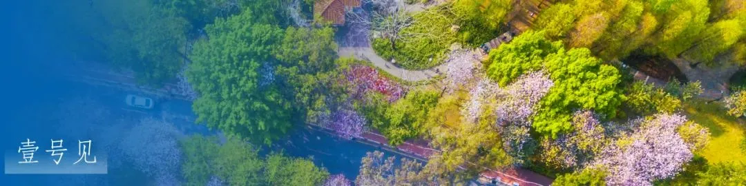 广州中考新变化!总分不变,主科分值大调整 第13张