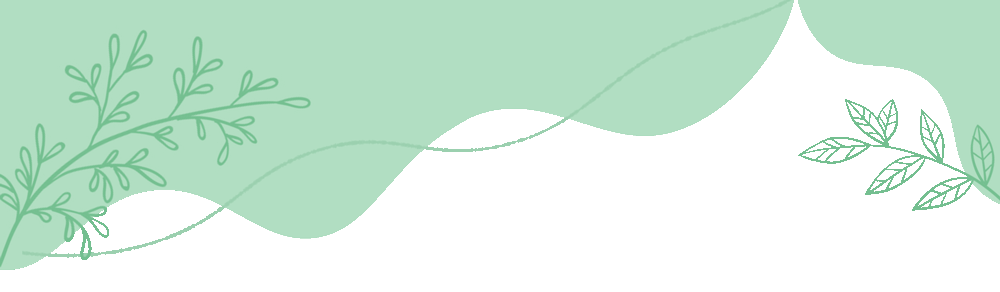 2026《学习之星•真题的逻辑》8下册(3科语文、数学、英语) 第1张