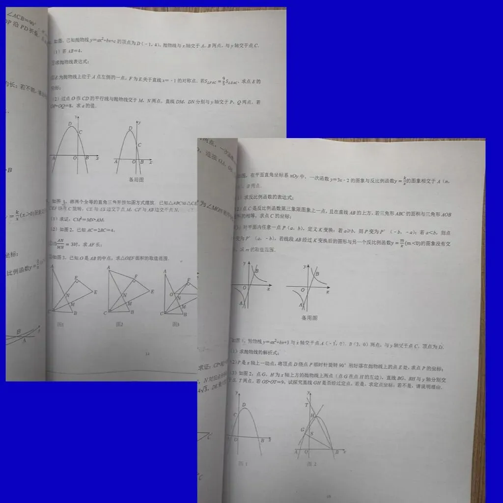 北师大版七八九年级下册《名校中考数学学月压轴题2025》/月考/期中/期末压轴题/名校新题/大师甄选成都深圳沈阳西安济南等地区 第10张