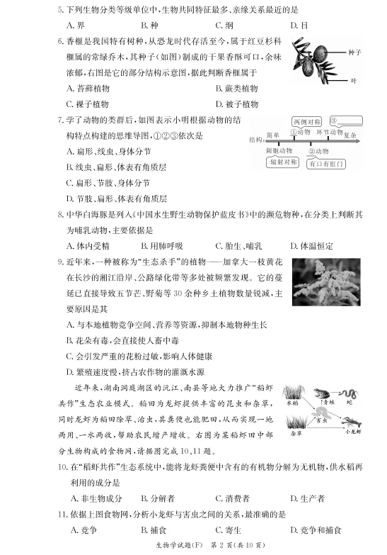 速看!26年长沙各集团初二期中真题试卷+答案(附已出初二期中优秀线) 第23张