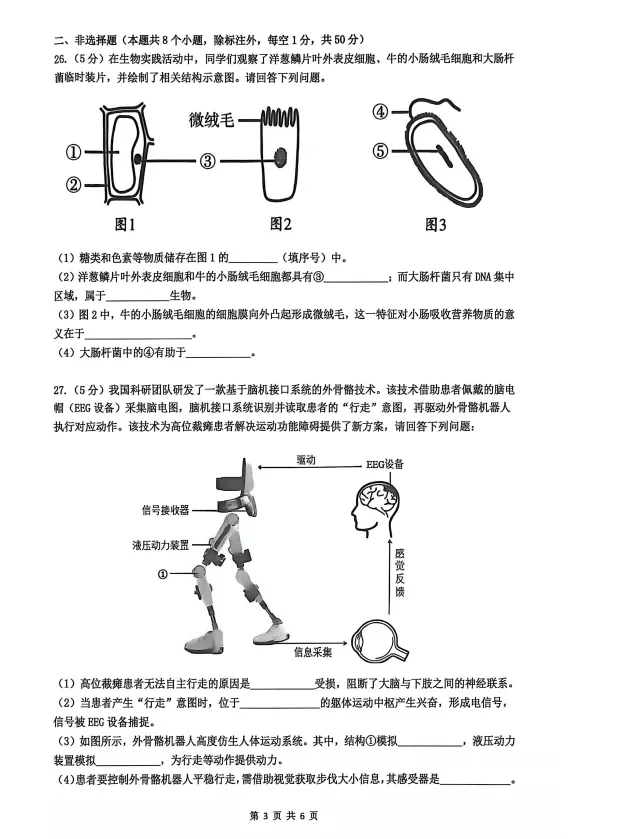 速看!26年长沙各集团初二期中真题试卷+答案(附已出初二期中优秀线) 第37张