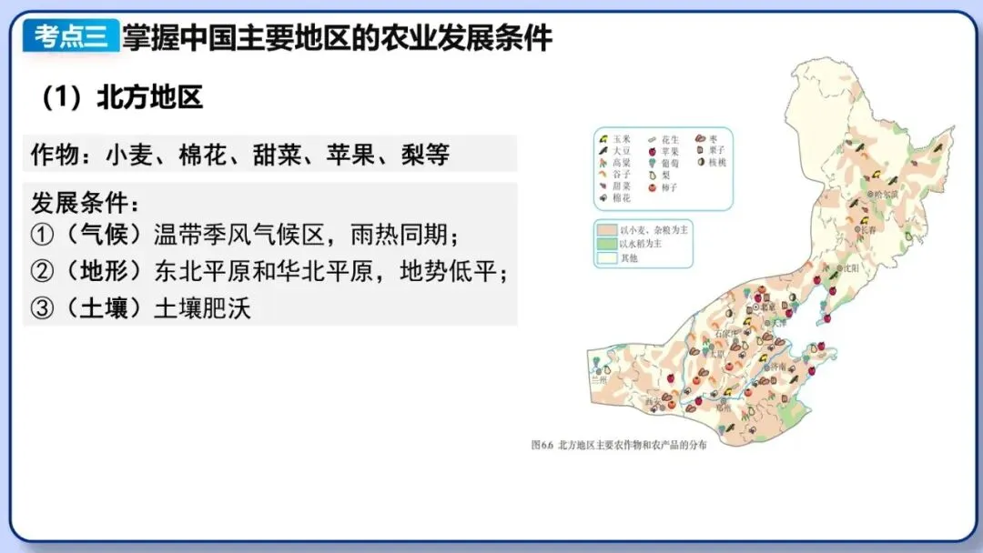 2026年中考地理二轮复习专题三 区域人文地理要素分析(课件+教学设计+导学案+课后习题) 第12张