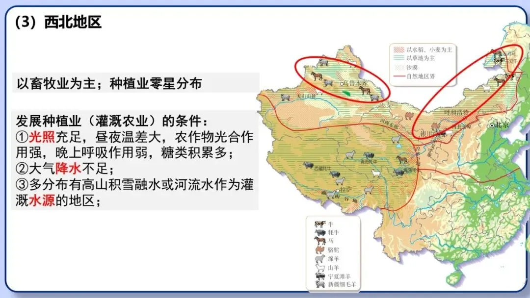 2026年中考地理二轮复习专题三 区域人文地理要素分析(课件+教学设计+导学案+课后习题) 第14张