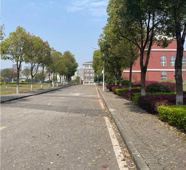 5月1日起,这项新政策将影响所有重庆中考学生 第6张