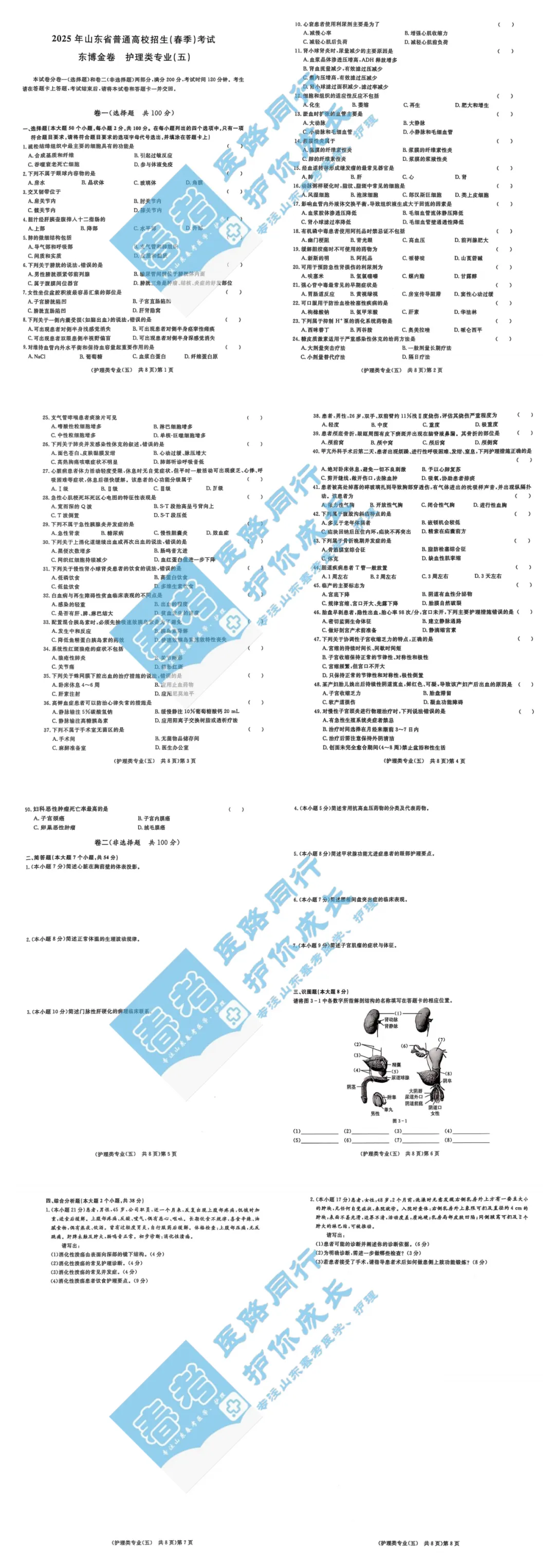 春考冲刺|护理高频考点试卷(五) 第1张