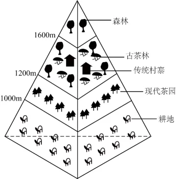 冲刺提分真题练——考点26 城乡结构及文化景观(原卷版) 第11张