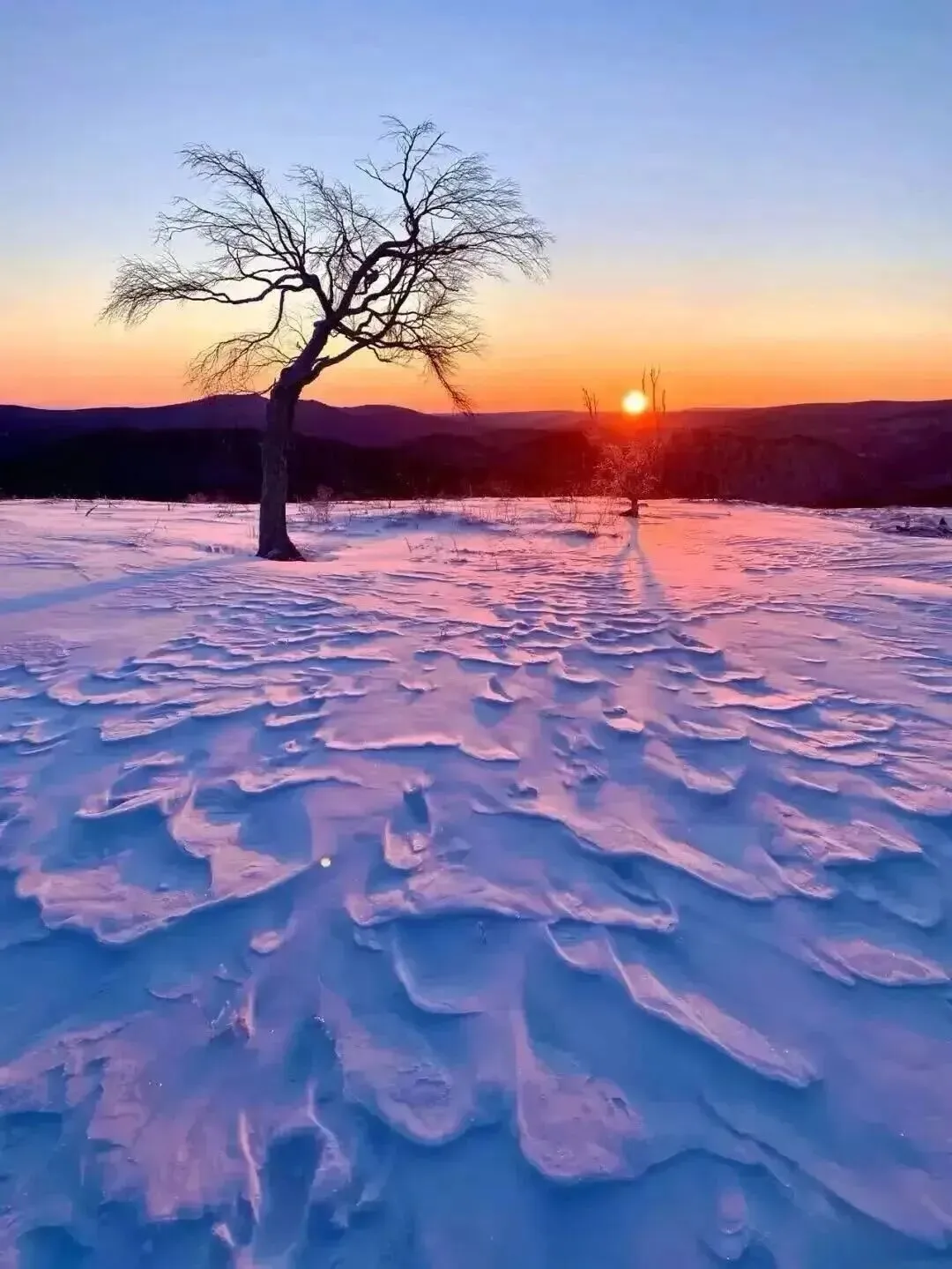 锚定中考航向 精准破局提分——2026年南阳市九年级数学一模试卷分析及二轮备考策略 第3张
