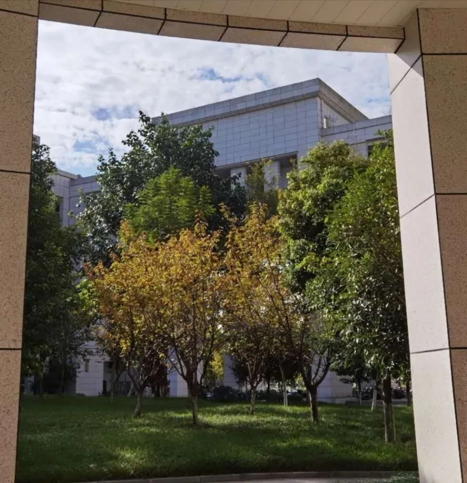 中考,那一场美好却难圆的梦 第2张