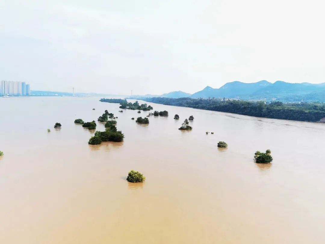 中考,那一场美好却难圆的梦 第3张