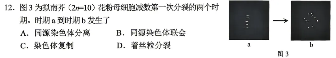 刷题日记丨2026年深圳二模生物试卷&个人评价 第3张