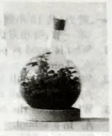 2026年人教版中考英语第一次模拟测试卷(听力+答案),命中率高,查漏补缺必备! 第3张