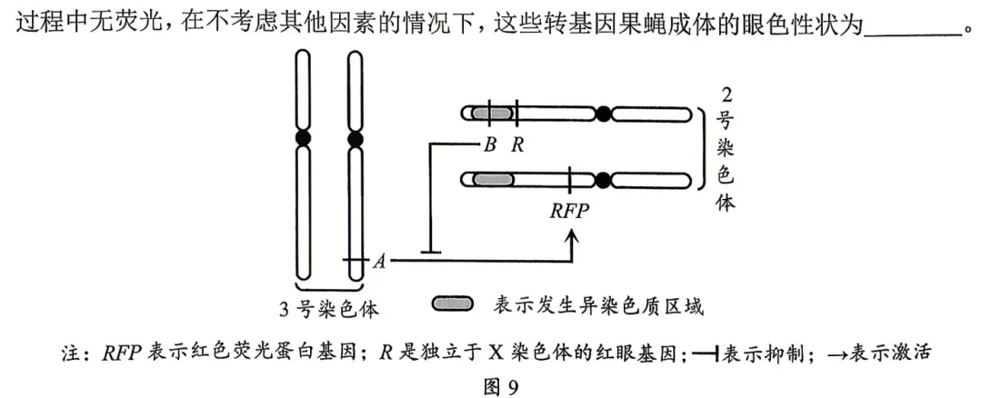 刷题日记丨2026年深圳二模生物试卷&个人评价 第7张