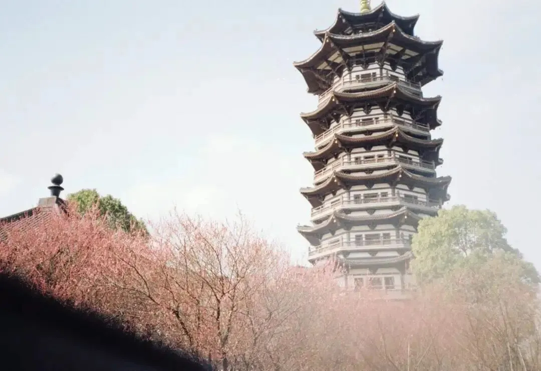 【中考满分作文】 给大河取一个好名字 第2张