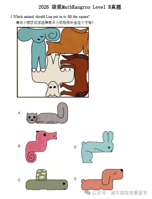 2026年袋鼠数学竞赛真题+解析高清PDF,袋鼠数学竞赛查分流程 第5张