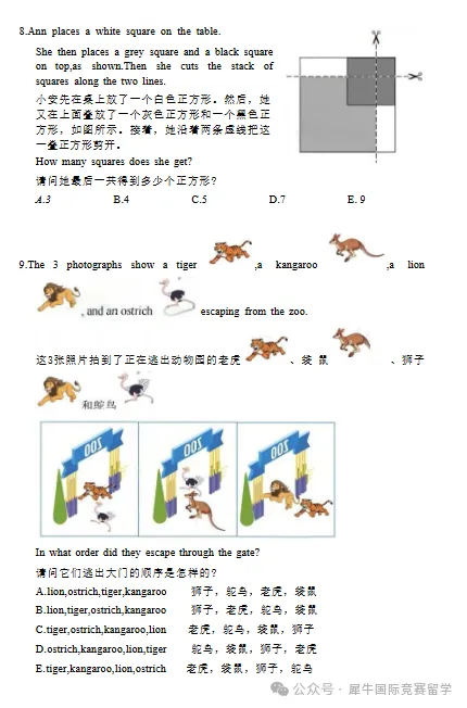 2026年袋鼠数学竞赛真题+解析高清PDF,袋鼠数学竞赛查分流程 第9张