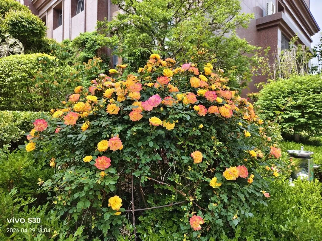 Day67 改完历史试卷,我开始怀疑人生 第1张