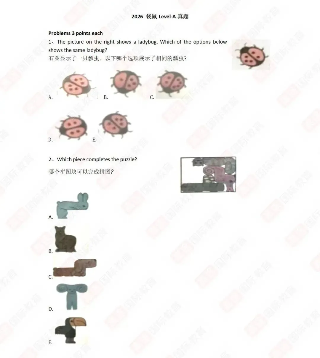 2026袋鼠数学竞赛真题答案高清PDF速领 第2张
