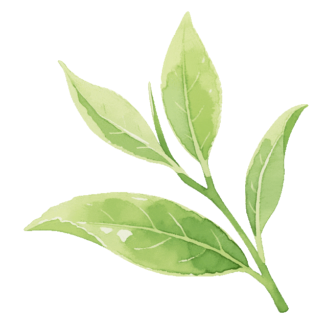 2026袋鼠数学竞赛真题答案高清PDF速领 第4张