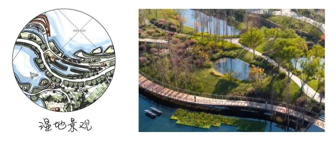 真题解析 | 北京林业大学2026年风景园林初试真题解析 第7张