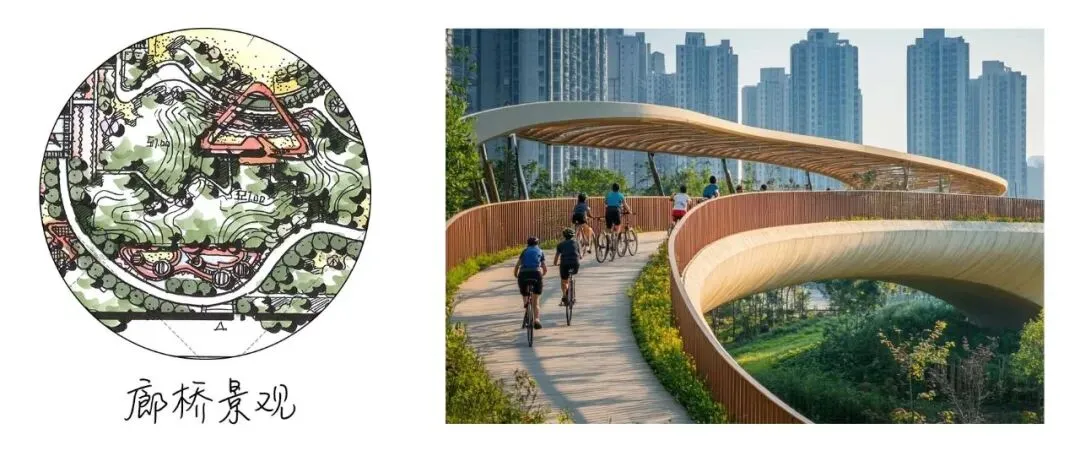 真题解析 | 北京林业大学2026年风景园林初试真题解析 第8张