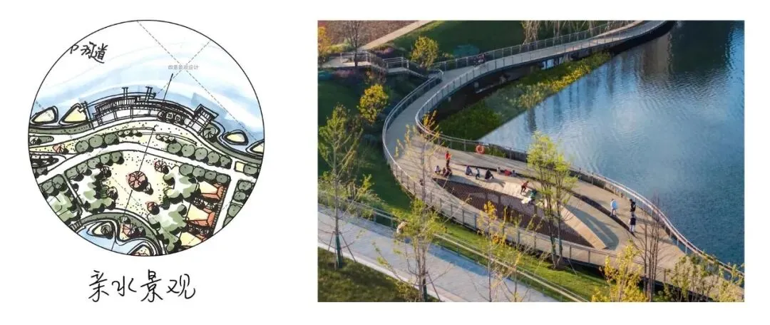 真题解析 | 北京林业大学2026年风景园林初试真题解析 第9张