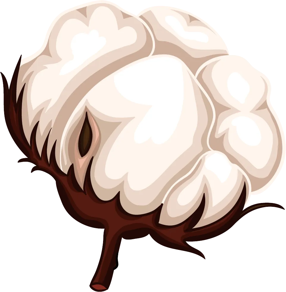 中考模考练方法,考场用细节提分!照做涨分 第12张