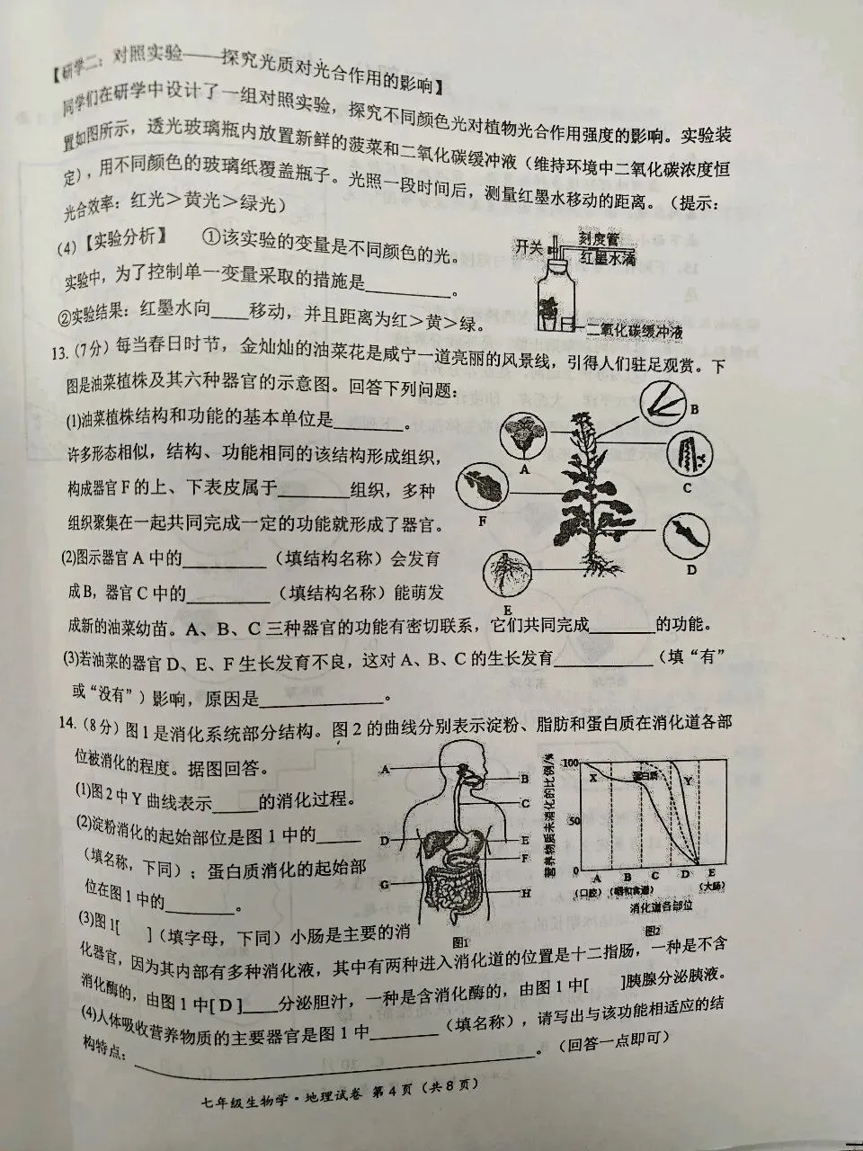 七年级生物期中试卷(最后一页是答案) 第4张