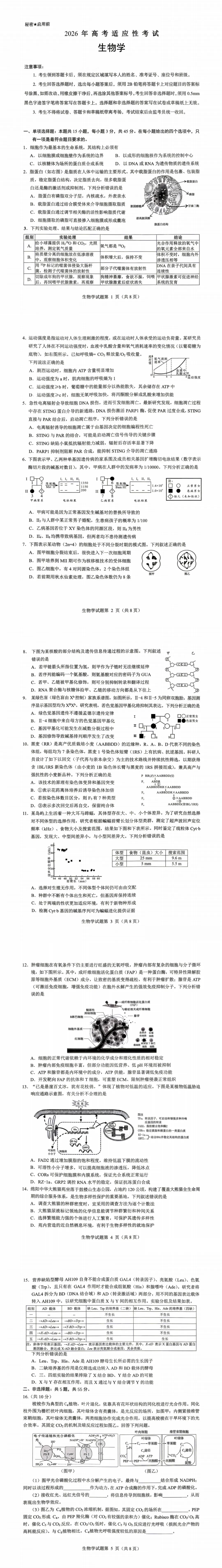齐全!2026年绵阳高三三诊全科无水印试卷+答案来了 第20张