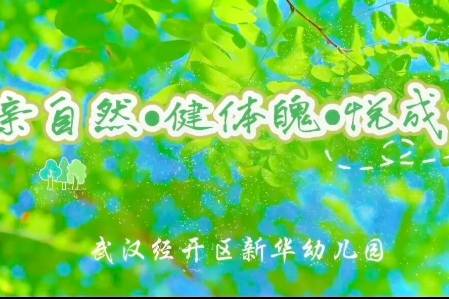 中考志愿填报信息 第45张