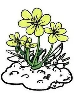 26中考英语书面表达分类探究|推荐与自荐 第8张