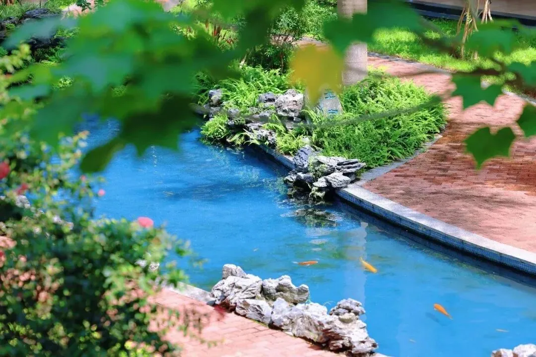 石门中学5月1日校园开放日(含中考咨询答疑)到校参观无需预约 第8张