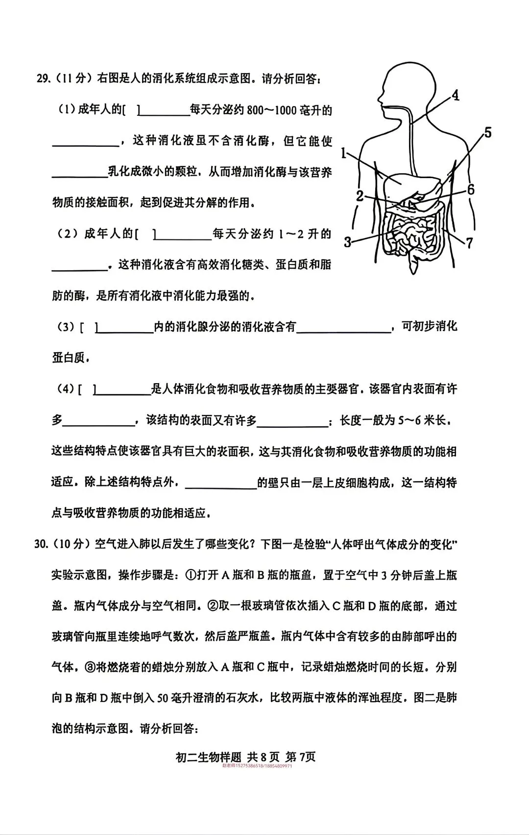 2026年泰山区七下期中生物真题 第7张