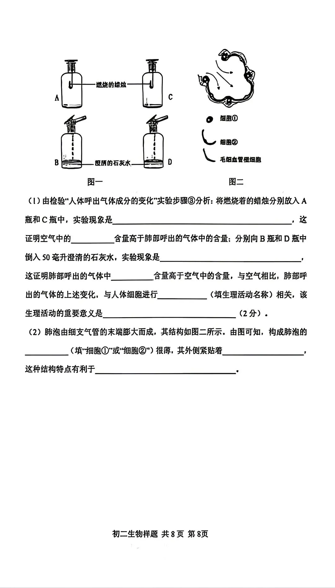 2026年泰山区七下期中生物真题 第8张