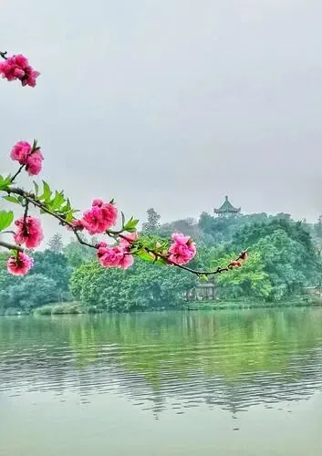 2026年中考模拟考试化学试题24 第9张