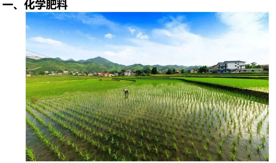 2026年中考化学主题情境复习--客家美食珍珠粉中的化学 第5张