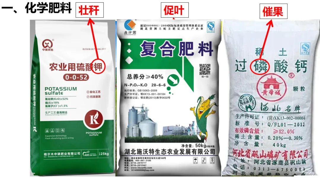 2026年中考化学主题情境复习--客家美食珍珠粉中的化学 第6张