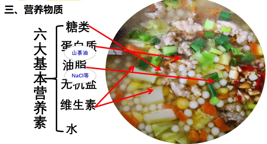 2026年中考化学主题情境复习--客家美食珍珠粉中的化学 第10张