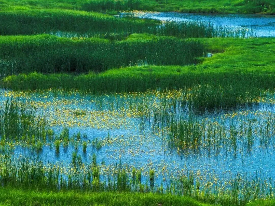 2026年中考化学主题情境复习--客家美食珍珠粉中的化学 第20张