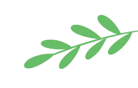 河北地生中考政策|初三家长都懂,初二家长必看! 第6张