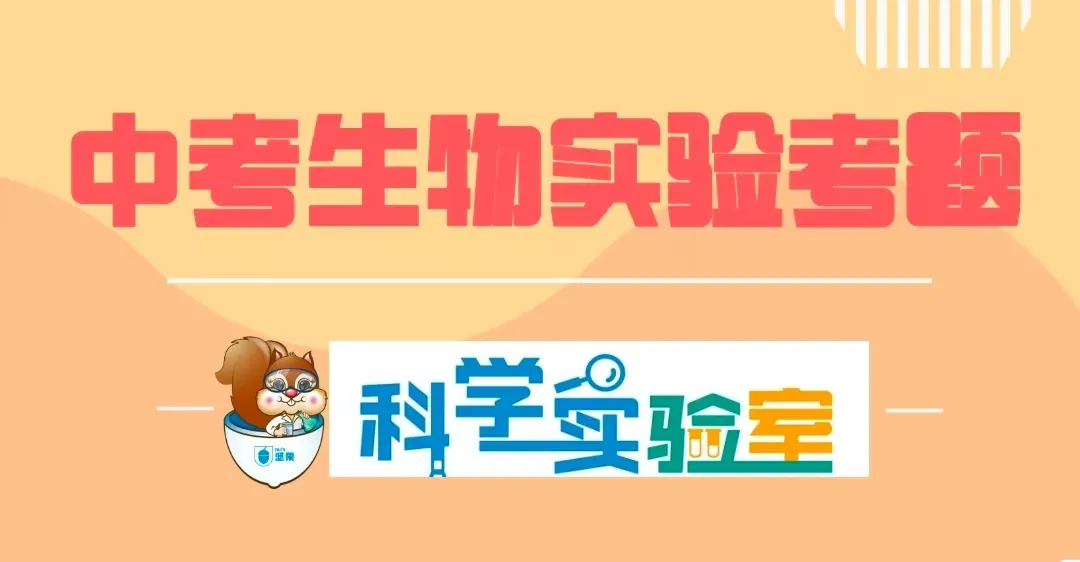 25年衡水中考主城区物理化学生物实验考题及评分标准 第11张